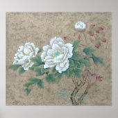 白バラ ポスター (正面)