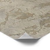 白バラ ポスター (角)