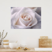 白バラ ポスター (キッチン)