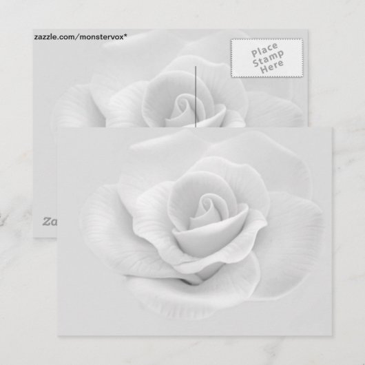 白バラ ポストカード (正面/裏面)