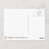 白バラ ポストカード (裏面)