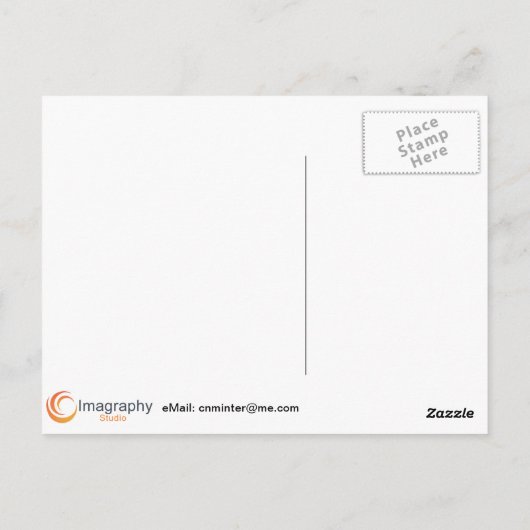 白バラ ポストカード (裏面)