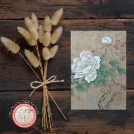 白バラ ポストカード