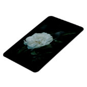 白バラ マグネット (左側)