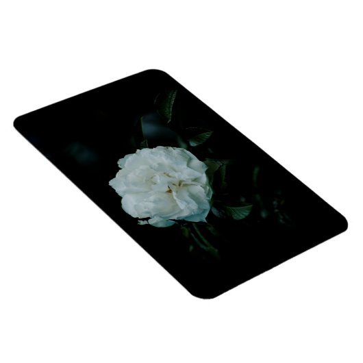 白バラ マグネット (右側)