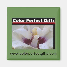 白バラ マグネット