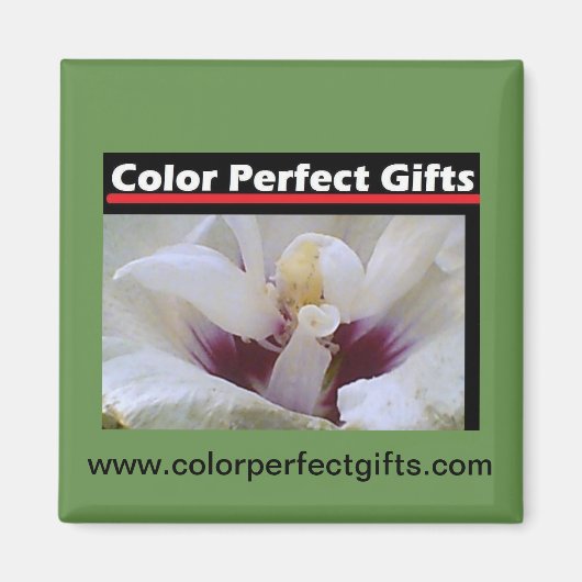 白バラ マグネット (正面)