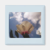 白バラ マグネット (正面)