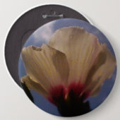 白バラ 缶バッジ (正面&裏面)