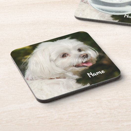 白パーソナライズされたマルチーズ子犬 コースター (左側)