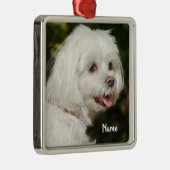 白パーソナライズされたマルチーズ子犬 メタルオーナメント (右)