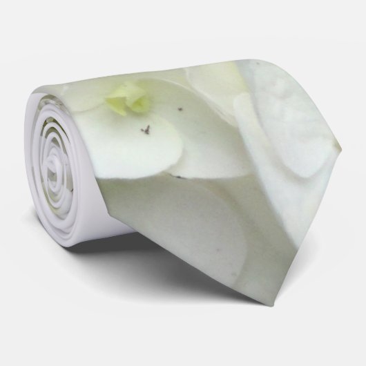 白ヒトアジサイ花婿のネックタイ ネクタイ (ロール)