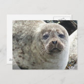 白ヒョウ印はがき ポストカード (正面/裏面)