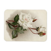 白ビクトリアンバラ マグネット (横)