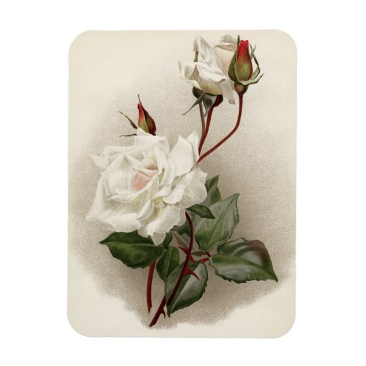 白ビクトリアンバラ マグネット (縦)