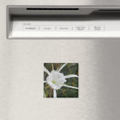 白ビーチスパイダーリリー花の写真 マグネット (インサイチュ (食洗機))