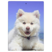 白フィンランド語ラプントパピーかわいい クリップボード (裏面)