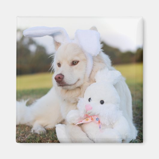 白フィンランド語ラプントパピーかわいい マグネット (正面)