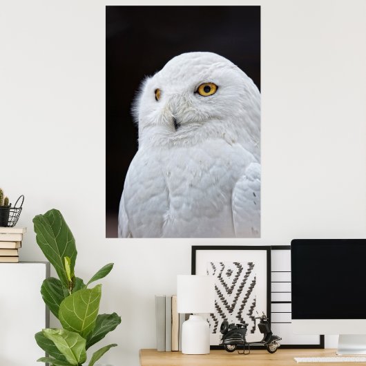 白フクロウ ポスター (ホームオフィス)