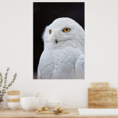 白フクロウ ポスター (キッチン)