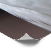 白フクロウ ポスター (角)