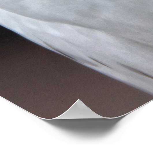 白フクロウ ポスター (角)