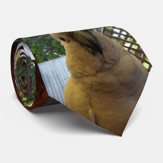 白フレンドリーオーストラリア産コカトー、ネックタイ ネクタイ (ロール)