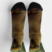 白フレンドリーオーストラリアCockatoo、クルーソックス ソックス (上部)