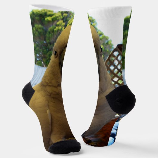 白フレンドリーオーストラリアCockatoo、クルーソックス ソックス (傾斜あり)