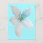 白フローラパステルフラワーウォーター色 ポストカード (正面)