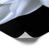 白フローラ白デイジー白ムーム白花 ポスター (角)