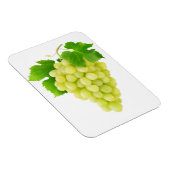 白ブドウ マグネット (右側)