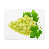 白ブドウ マグネット (横)