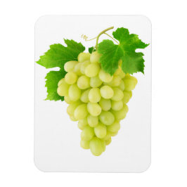 白ブドウ マグネット