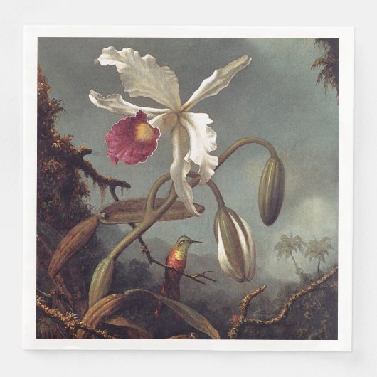 白ブラジル蘭 (正面)