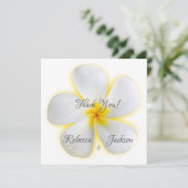 白プルメリアの花、黄色結婚、s、ありがとう (スタンド正面)