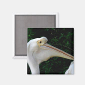 白ペリカン マグネット (正面/裏面)