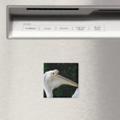 白ペリカン マグネット (インサイチュ (食洗機))