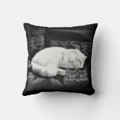 白ペルシャの寝猫 クッション (裏面)