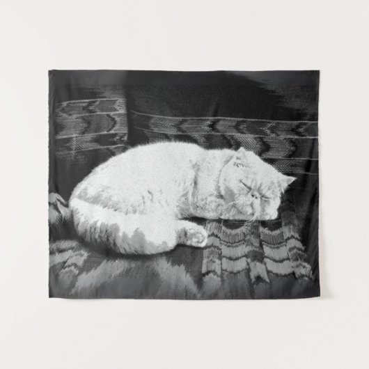 白ペルシャの寝猫 タペストリー (正面(横))
