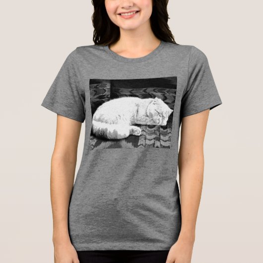白ペルシャの寝猫 トライブレンドＴシャツ (正面)