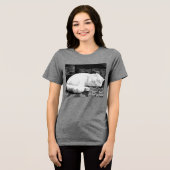 白ペルシャの寝猫 トライブレンドＴシャツ (正面全面)
