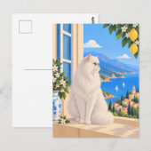白ペルシャ地中海猫 ポストカード (正面/裏面)