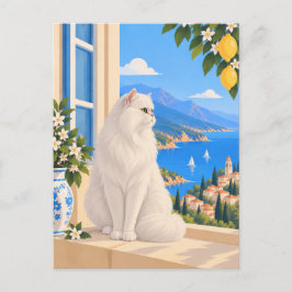白ペルシャ地中海猫 ポストカード