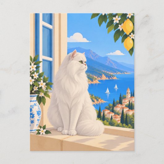 白ペルシャ地中海猫 ポストカード (正面)