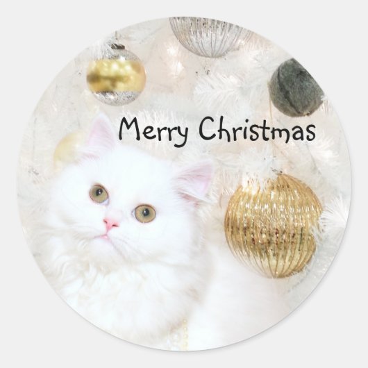 白ペルシャ子猫クリスマス ラウンドシール (正面)