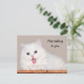 白ペルシャ恋しく思猫 ポストカード (スタンド正面)