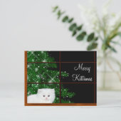 白ペルシャ猫のクリスマス シーズンポストカード (スタンド正面)