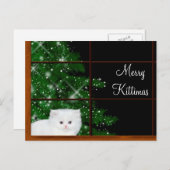 白ペルシャ猫のクリスマス シーズンポストカード (正面/裏面)