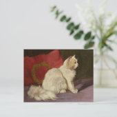 白ペルシャ猫 ポストカード (スタンド正面)